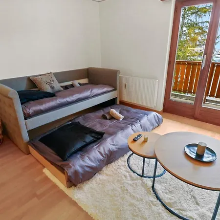 Apartment Au Centre *