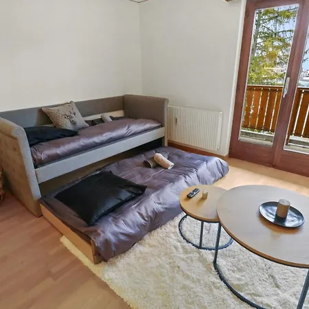 Au Centre Apartment Crans-Montana